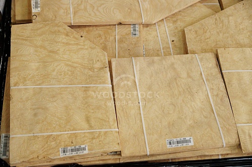 Натуральный шпон Ясень белый корень Натуральный шпон Ясень белый корень