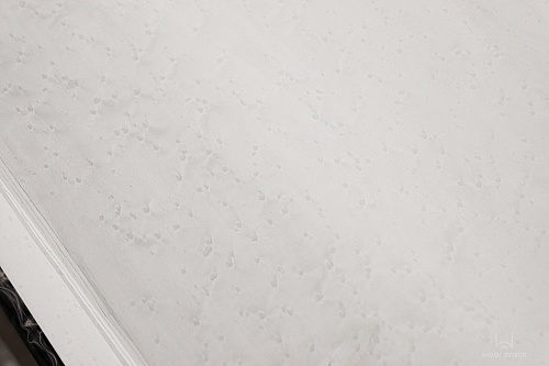 Дизайн-шпон TABU Клен «птичий глаз» 05.050