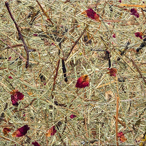 Экополотно ORGANOID Альпийские луга Роз Экополотно ORGANOID Альпийские луга Роз