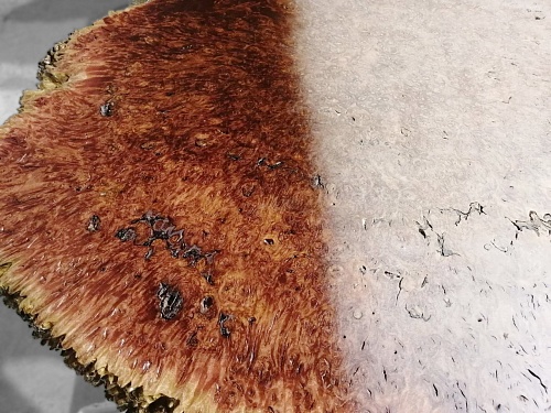 Слэбы Ярра, корень Слэбы Ярра, корень