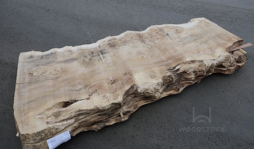 Пиломатериалы Тополь корень, слэб