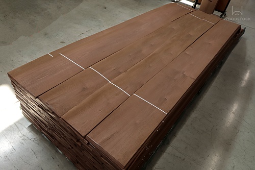 Акация Морёная Акация Морёная