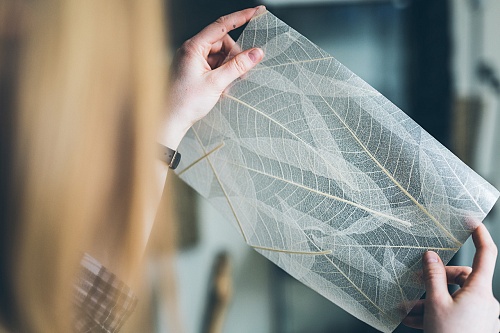 Экополотно ORGANOID Листья Гевеи Экополотно ORGANOID Листья Гевеи