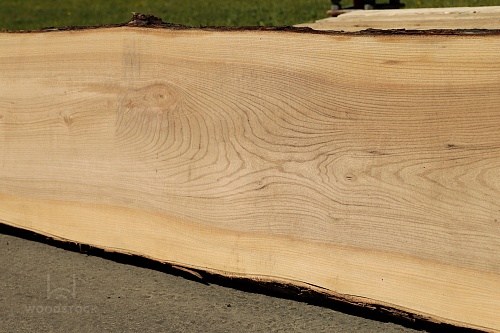 Карагач необрезная доска Карагач необрезная доска