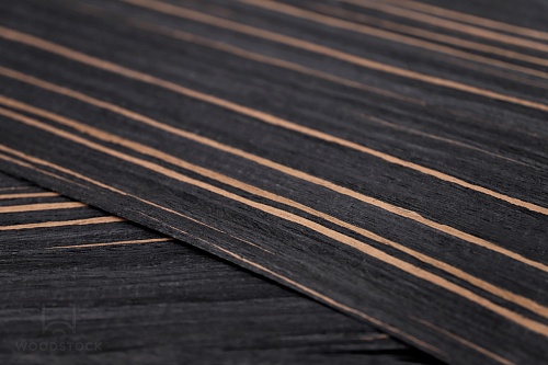 Коллекция BIANCHE NOTTI Мультишпон 28.021S Коллекция BIANCHE NOTTI Мультишпон 28.021S