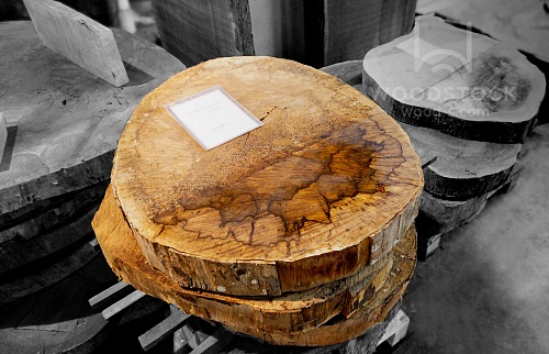 Поперечные срезы дерева Поперечные срезы дерева