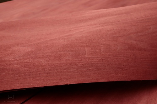 Тополь 52.095 Тополь 52.095