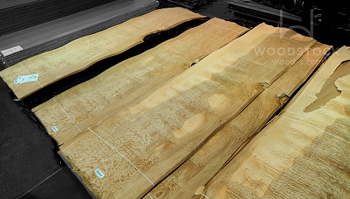 Натуральный шпон Тамо Натуральный шпон Тамо