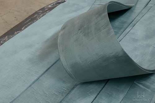 Клён Сикомора 09.S.013 Клён Сикомора 09.S.013