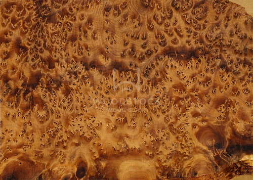 Натуральный шпон Туя корень Натуральный шпон Туя корень