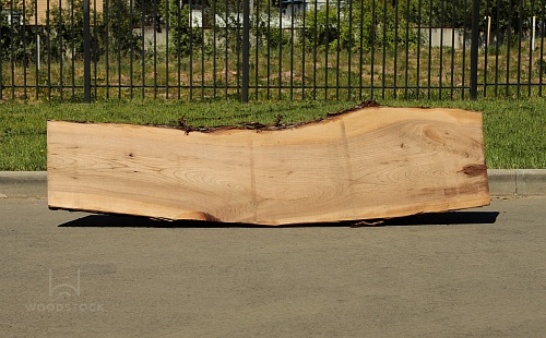 Карагач необрезная доска Карагач необрезная доска