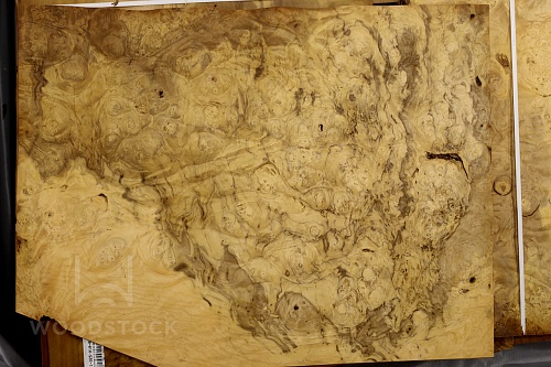 Натуральный шпон Лаурель корень Натуральный шпон Лаурель корень