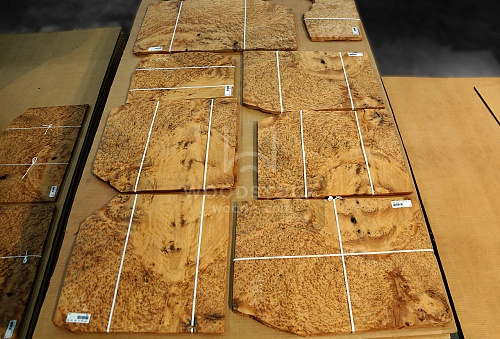 Натуральный шпон Туя корень Натуральный шпон Туя корень