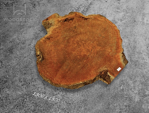 Слэбы Ярра, корень Слэбы Ярра, корень