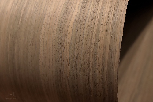 Коллекция ESPRESSO Мультишпон 35M Коллекция ESPRESSO Мультишпон 35M