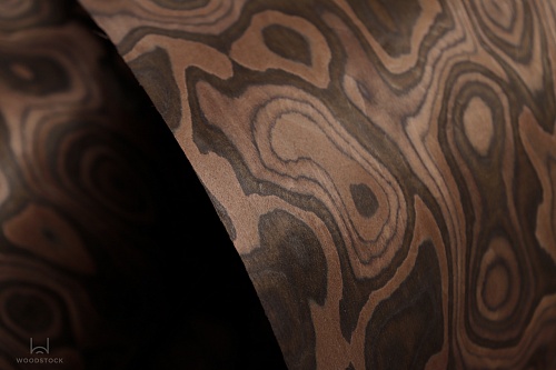 Коллекция ESPRESSO Мультишпон 700V Коллекция ESPRESSO Мультишпон 700V