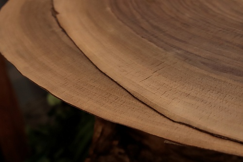 Орех Американский (торцевой срез) Орех Американский (торцевой срез)