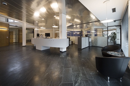 Экополотно ORGANOID Листья Гевеи Экополотно ORGANOID Листья Гевеи