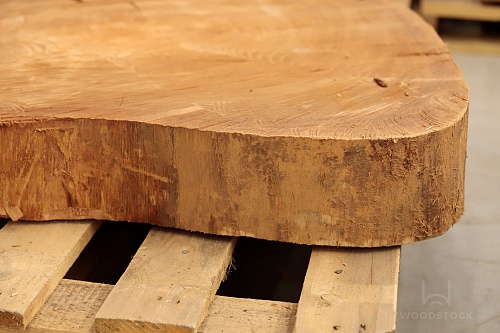 Поперечные срезы дерева Поперечные срезы дерева