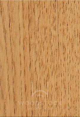 Цедер [Cedar]