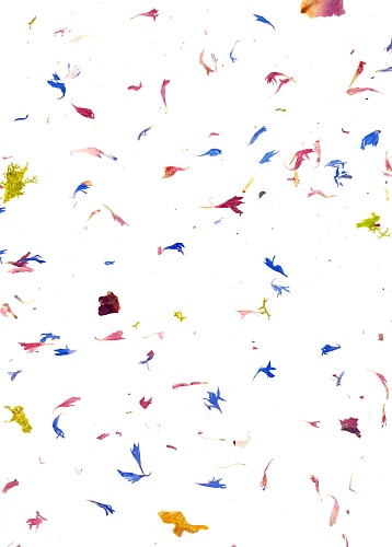 Экополотно ORGANOID Горный Василек и Лойташ Экополотно ORGANOID Горный Василек и Лойташ