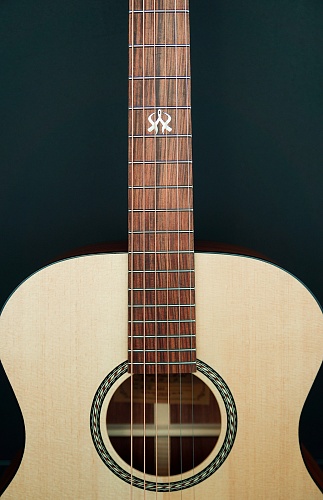 Другие формы Гитарная заготовка Pau Ferro