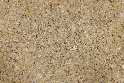 Экополотно Эдельвейс