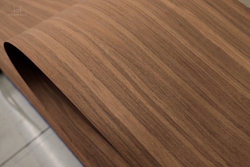 Albero 1294M Albero 1294M