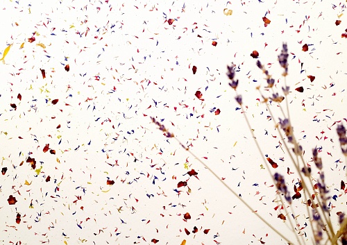 Экополотно ORGANOID Горный Василек и Лойташ Экополотно ORGANOID Горный Василек и Лойташ