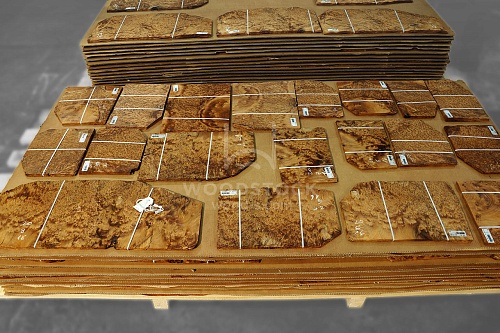 Натуральный шпон Туя корень Натуральный шпон Туя корень