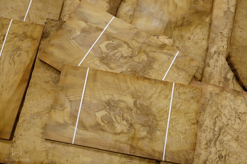 Натуральный шпон Лаурель корень Натуральный шпон Лаурель корень