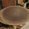 Орех американский (торцевой срез)