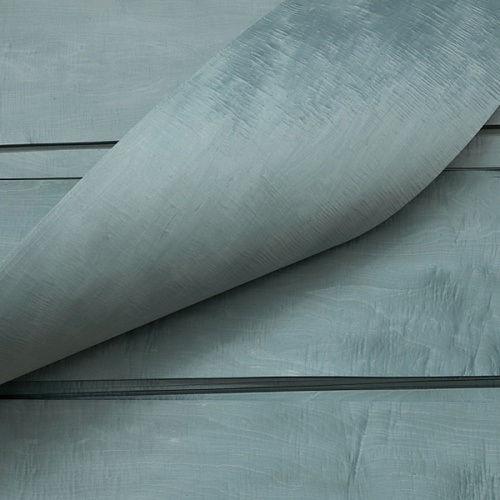 Клён Сикомора 09.S.013 Клён Сикомора 09.S.013