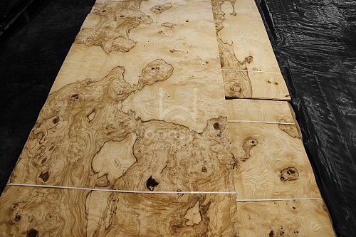 Натуральный шпон Ясень оливковый корень Натуральный шпон Ясень оливковый корень