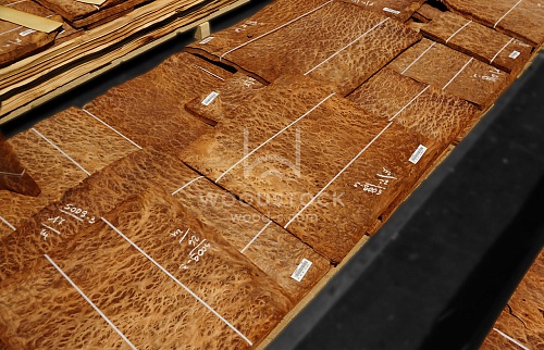 Натуральный шпон Вавона корень Натуральный шпон Вавона корень