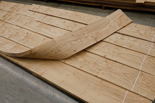 Натуральный шпон Дуб Swirl (Pepper) Натуральный шпон Дуб Swirl (Pepper)