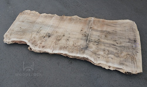 Пиломатериалы Тополь корень, слэб