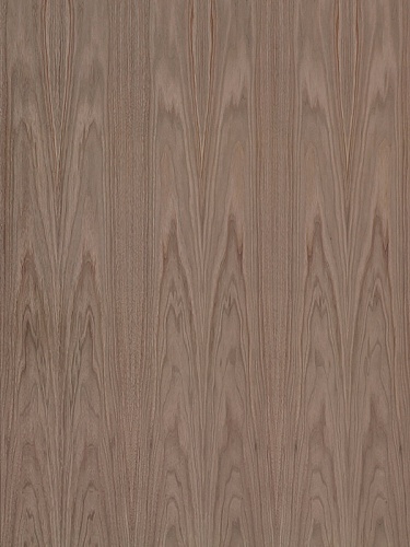 Орех BookMatch 22 мм