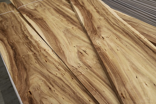 Акация Акация