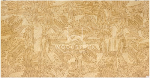 Сращенный шпон Ясень оливковый корень intarsio