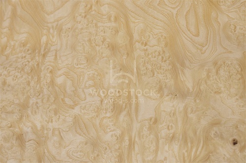 Натуральный шпон Ясень белый корень Натуральный шпон Ясень белый корень