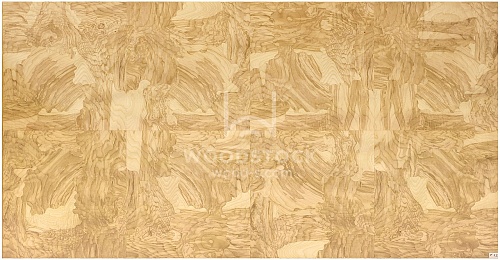 Сращенный шпон Ясень оливковый корень intarsio