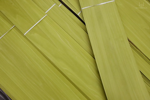 Тополь 52.077 Тополь 52.077