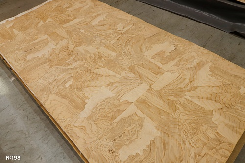 Сращенный шпон Ясень оливковый корень intarsio