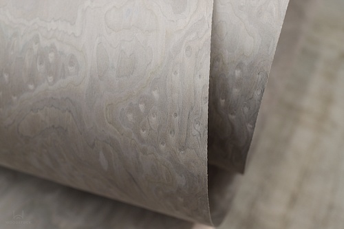 Bianche Notti 1396V Bianche Notti 1396V