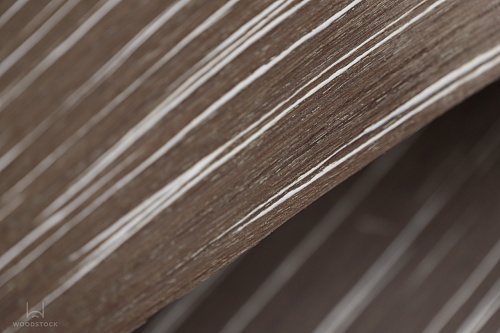 Коллекция ESPRESSO Мультишпон 03.004S Коллекция ESPRESSO Мультишпон 03.004S