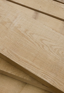 Дуб Дальневосточный