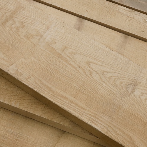 Дуб Дальневосточный