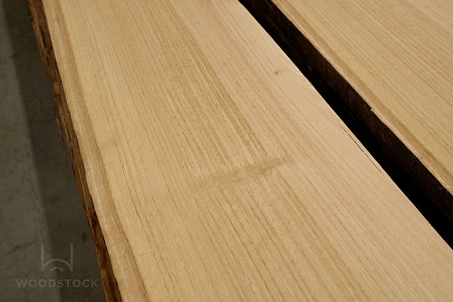 Эвкалипт необрезная доска Эвкалипт необрезная доска