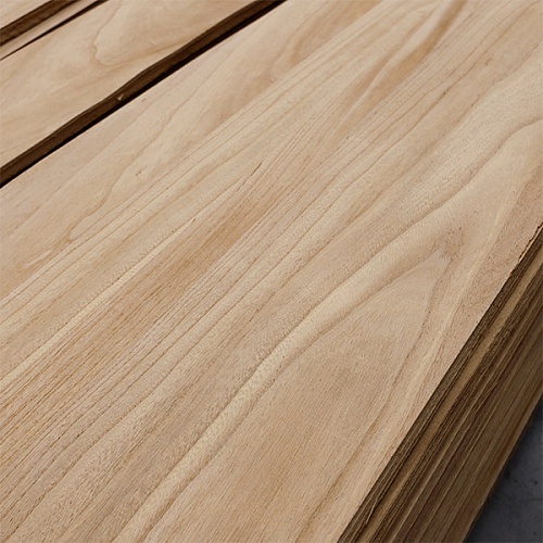 Павловния Павловния